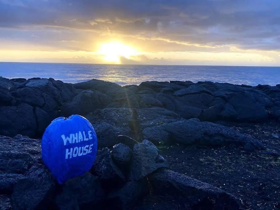 Stunning Ocean Views - Whale House Hawaii Villa Hawaiian Paradise Park 0*,