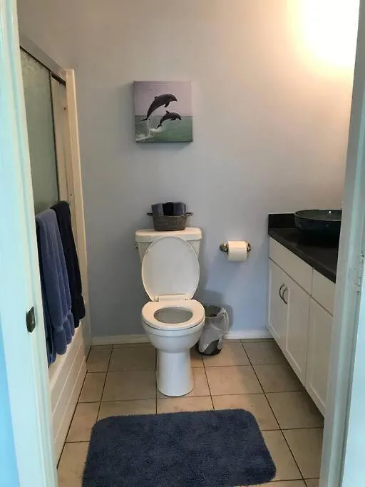 Stunning Ocean Views - Whale House Hawaii Villa Hawaiian Paradise Park Holiday home