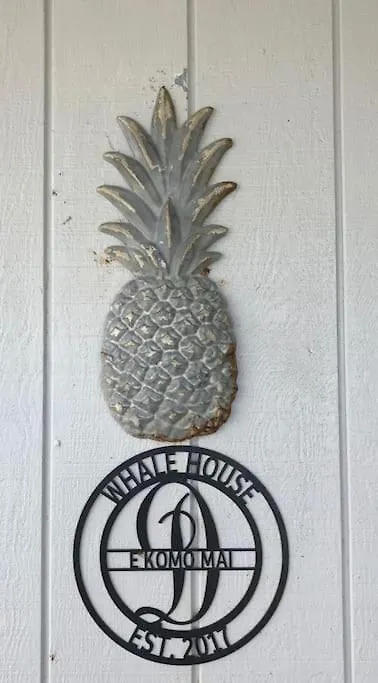 Stunning Ocean Views - Whale House Hawaii Villa Hawaiian Paradise Park Holiday home